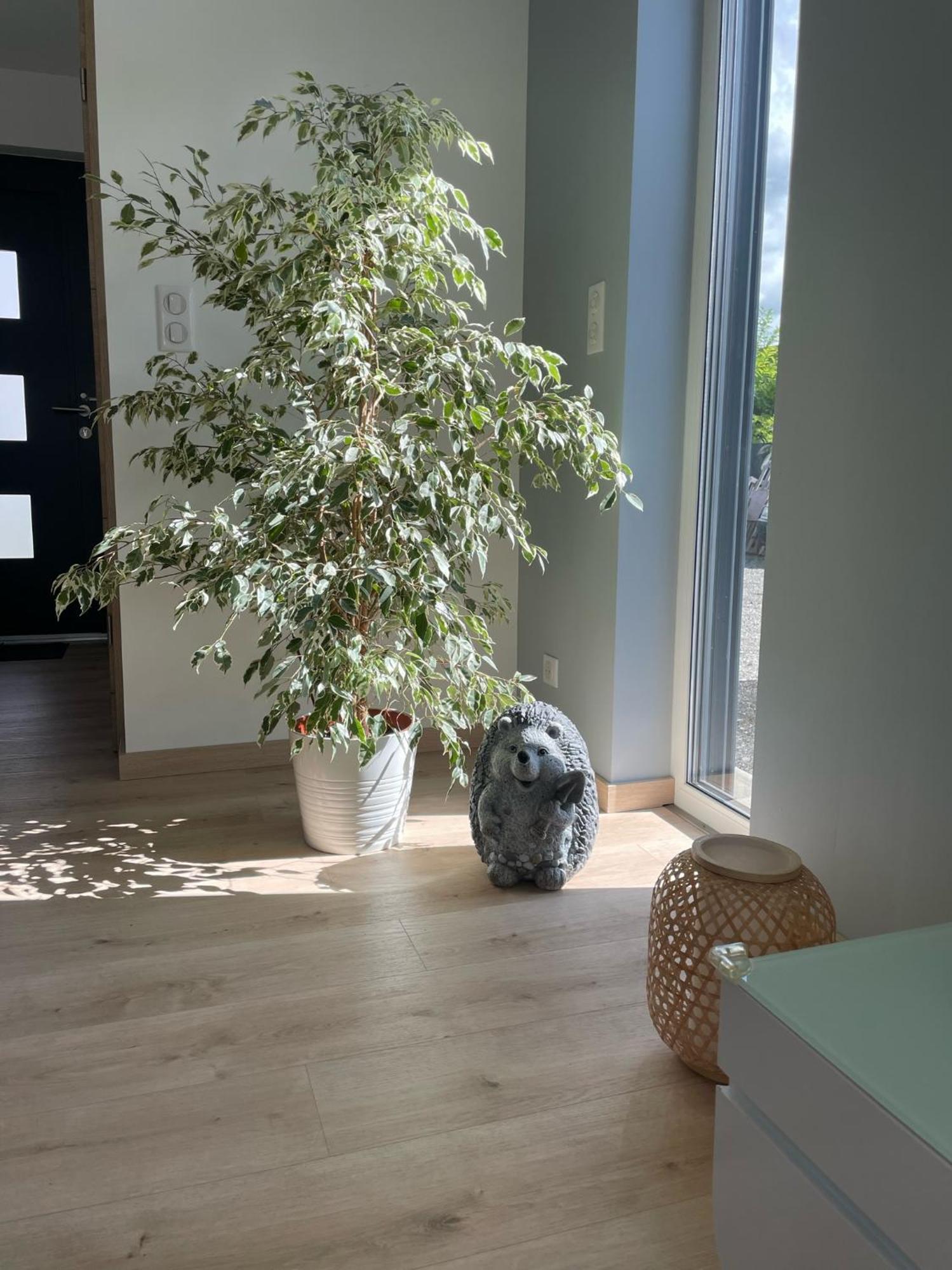 Maison Spacieuse Proche Strasbourg Όστβαλντ Εξωτερικό φωτογραφία